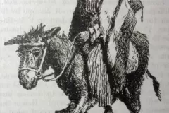 ass
