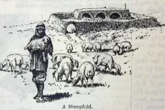 sheepfold