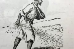 Sower Sowing