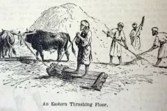 threshing-floor