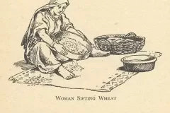 woman-sifting-wheat