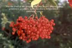 galatians-5_22-23
