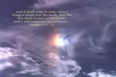 genesis-9_14-15