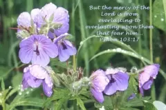 psalm-103-17