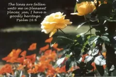 psalm-16-6
