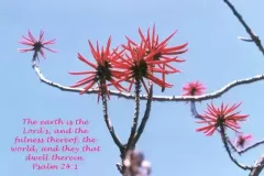 psalm-24-1