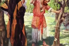 Lessons From the Parables of the Fig Tree