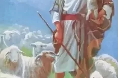 Shepherd
