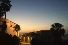 Jaffa