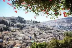City of David