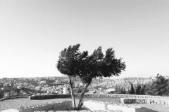 Nazareth