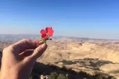 Mount Nebo