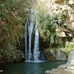 En Gedi Nahal David waterfall tb010812273 bibleplaces