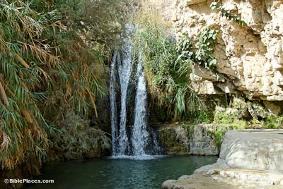 En Gedi Nahal David waterfall tb010812273 bibleplaces