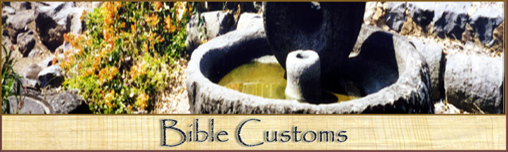 Manners and Customs of the Bible Featured Image